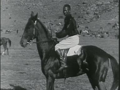 AFRICAN DERBY